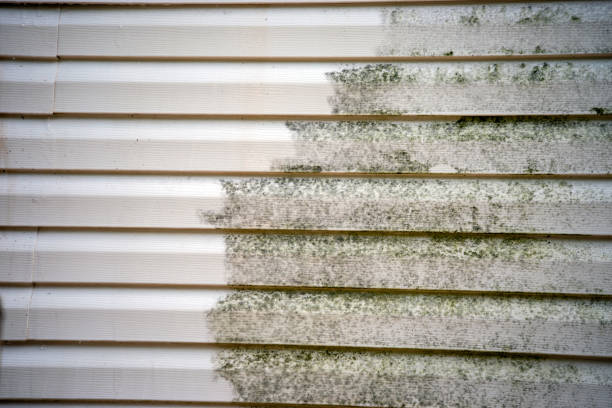 Best Moving and Downsizing Cleanouts  in Grants Pass, OR